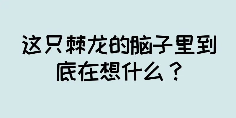 这只棘龙的脑子里到底在想什么？