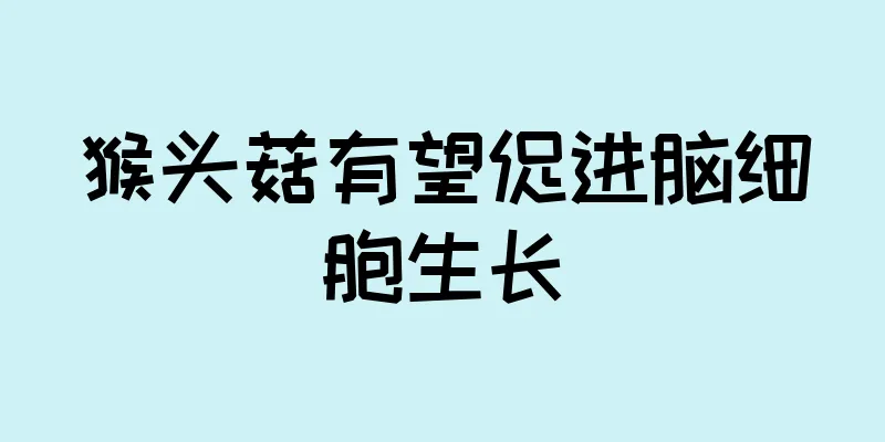 猴头菇有望促进脑细胞生长