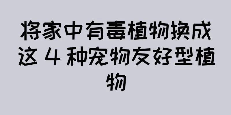 将家中有毒植物换成这 4 种宠物友好型植物