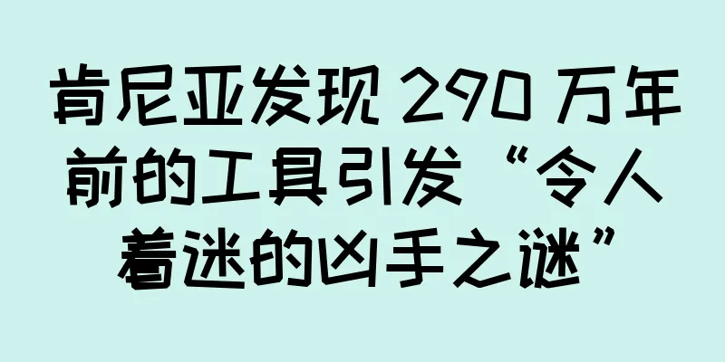 肯尼亚发现 290 万年前的工具引发“令人着迷的凶手之谜”