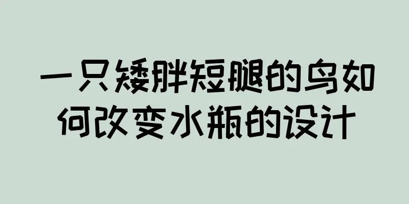 一只矮胖短腿的鸟如何改变水瓶的设计