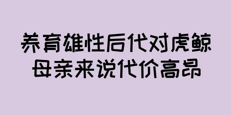 养育雄性后代对虎鲸母亲来说代价高昂