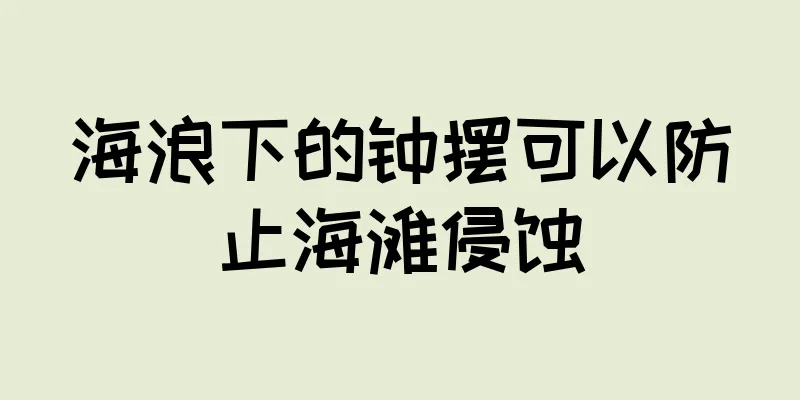 海浪下的钟摆可以防止海滩侵蚀