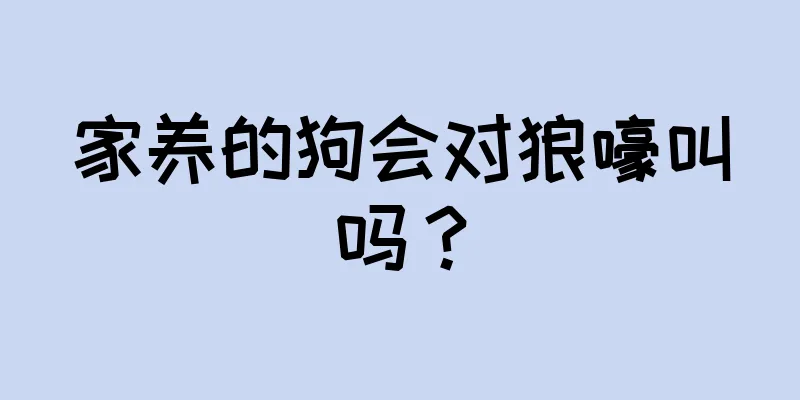 家养的狗会对狼嚎叫吗？
