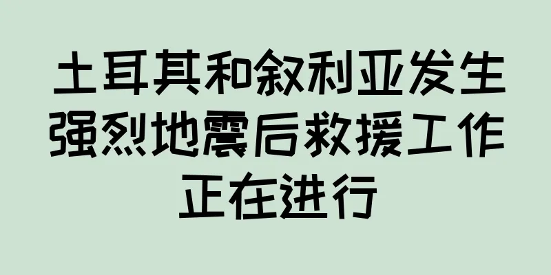土耳其和叙利亚发生强烈地震后救援工作正在进行