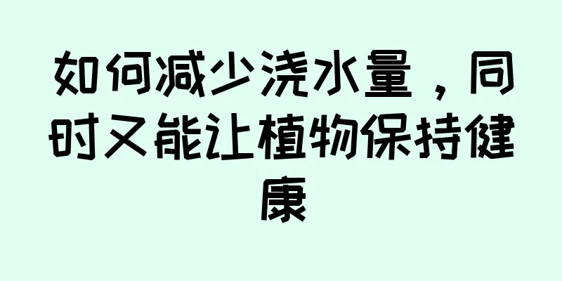 如何减少浇水量，同时又能让植物保持健康