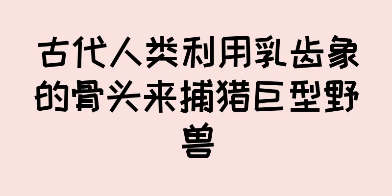 古代人类利用乳齿象的骨头来捕猎巨型野兽