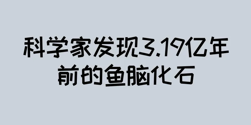科学家发现3.19亿年前的鱼脑化石
