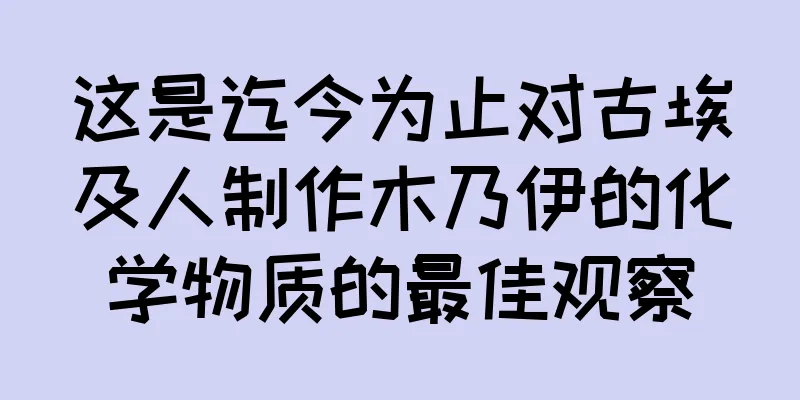 这是迄今为止对古埃及人制作木乃伊的化学物质的最佳观察