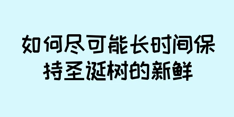 如何尽可能长时间保持圣诞树的新鲜