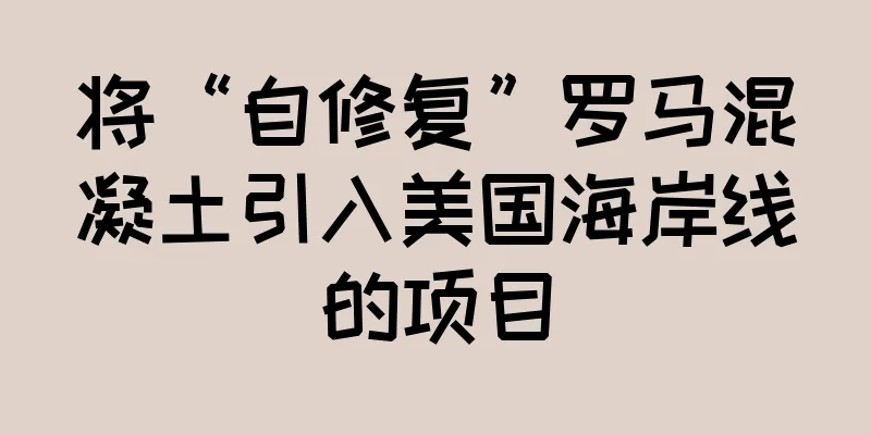将“自修复”罗马混凝土引入美国海岸线的项目
