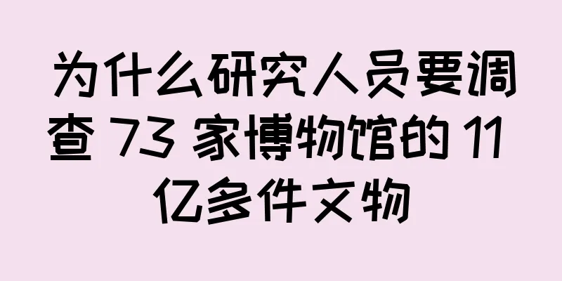 为什么研究人员要调查 73 家博物馆的 11 亿多件文物