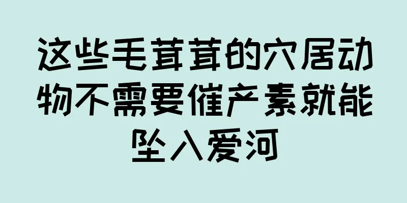 这些毛茸茸的穴居动物不需要催产素就能坠入爱河