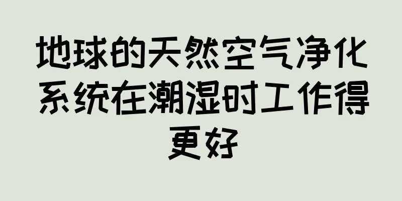 地球的天然空气净化系统在潮湿时工作得更好