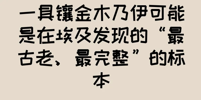一具镶金木乃伊可能是在埃及发现的“最古老、最完整”的标本