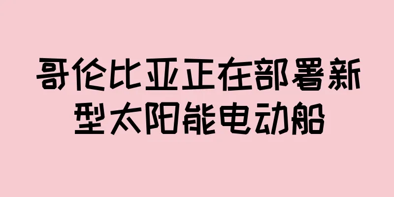 哥伦比亚正在部署新型太阳能电动船