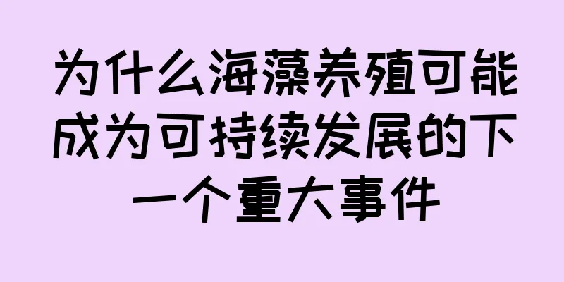 为什么海藻养殖可能成为可持续发展的下一个重大事件