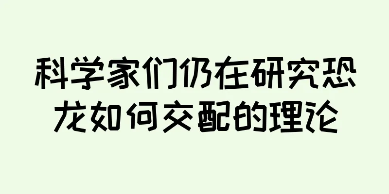 科学家们仍在研究恐龙如何交配的理论