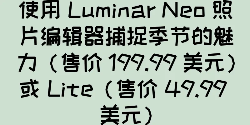 使用 Luminar Neo 照片编辑器捕捉季节的魅力（售价 199.99 美元）或 Lite（售价 49.99 美元）
