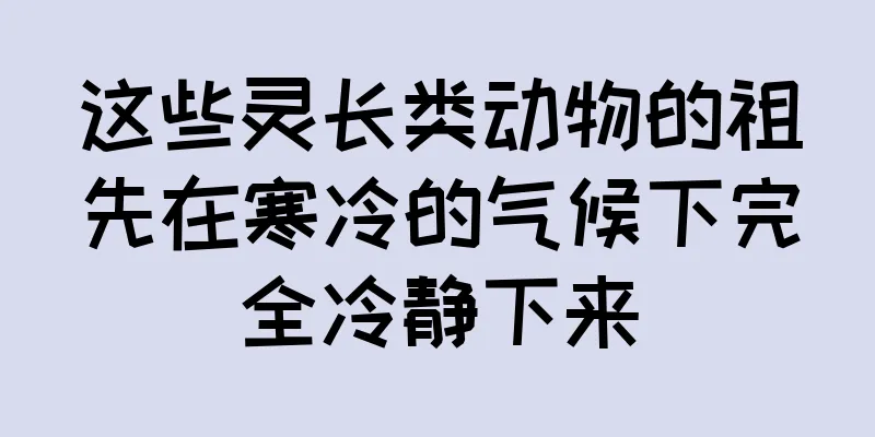 这些灵长类动物的祖先在寒冷的气候下完全冷静下来