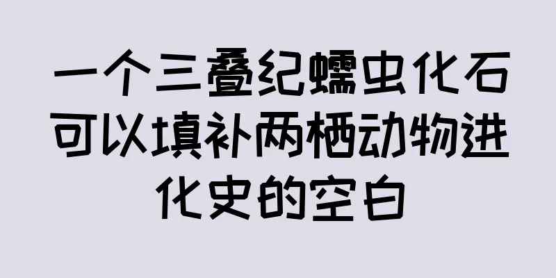 一个三叠纪蠕虫化石可以填补两栖动物进化史的空白