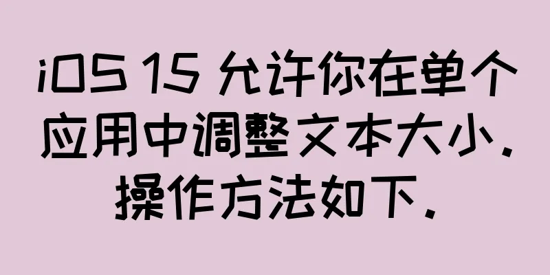 iOS 15 允许你在单个应用中调整文本大小。操作方法如下。