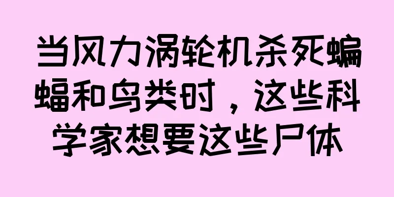 当风力涡轮机杀死蝙蝠和鸟类时，这些科学家想要这些尸体