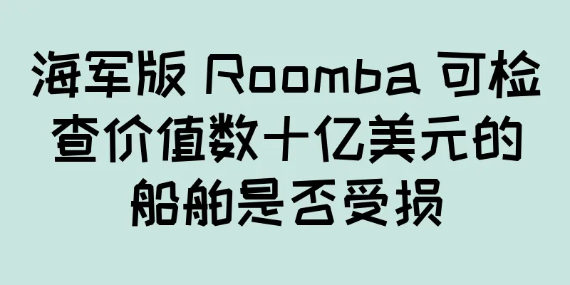 海军版 Roomba 可检查价值数十亿美元的船舶是否受损