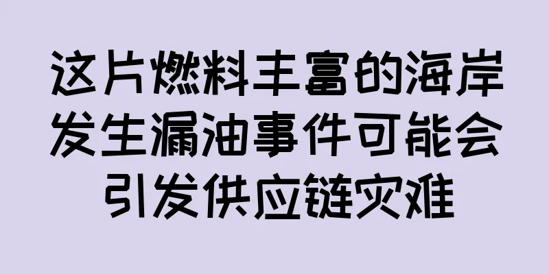这片燃料丰富的海岸发生漏油事件可能会引发供应链灾难