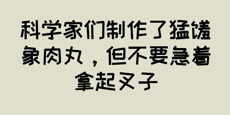 科学家们制作了猛犸象肉丸，但不要急着拿起叉子