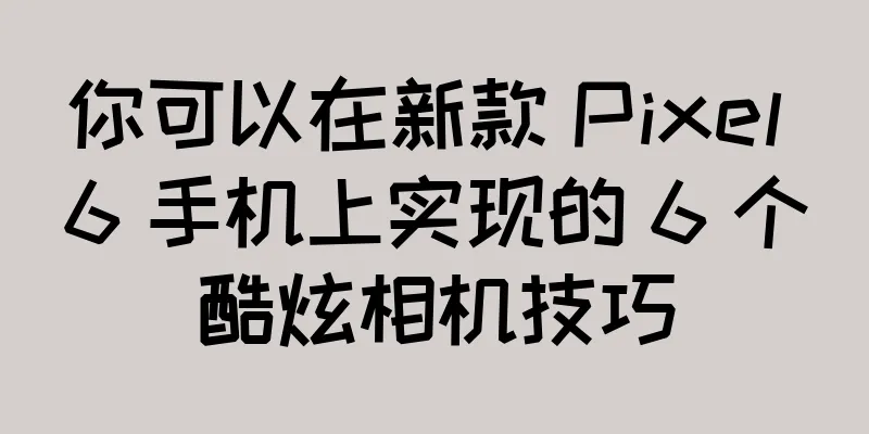 你可以在新款 Pixel 6 手机上实现的 6 个酷炫相机技巧