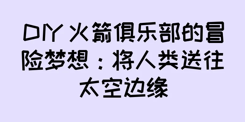 DIY 火箭俱乐部的冒险梦想：将人类送往太空边缘