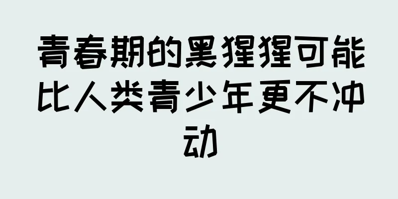 青春期的黑猩猩可能比人类青少年更不冲动