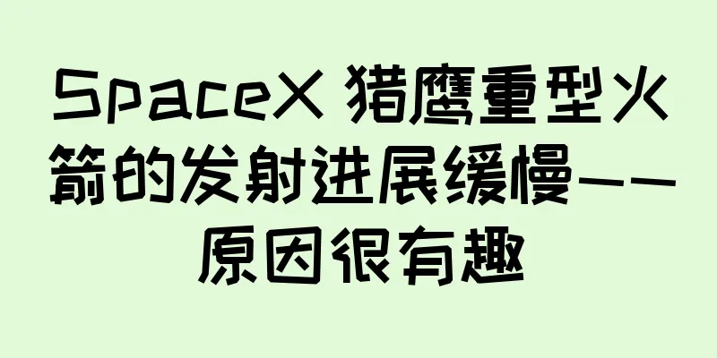 SpaceX 猎鹰重型火箭的发射进展缓慢——原因很有趣