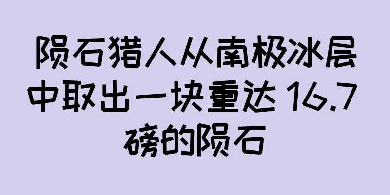 陨石猎人从南极冰层中取出一块重达 16.7 磅的陨石