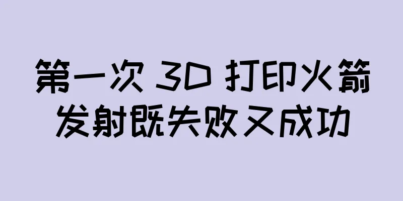 第一次 3D 打印火箭发射既失败又成功