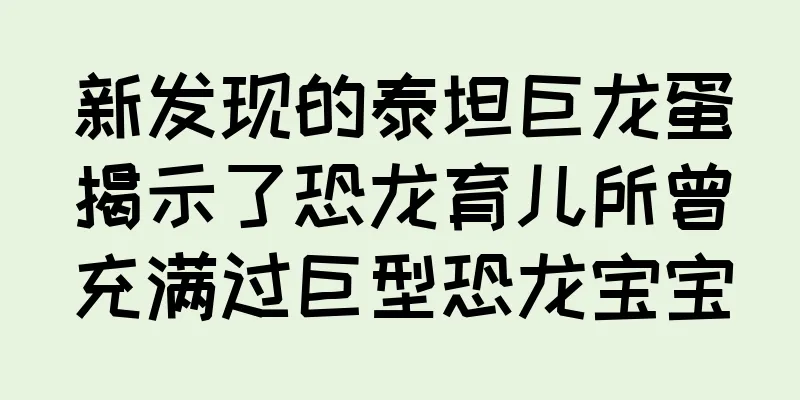 新发现的泰坦巨龙蛋揭示了恐龙育儿所曾充满过巨型恐龙宝宝