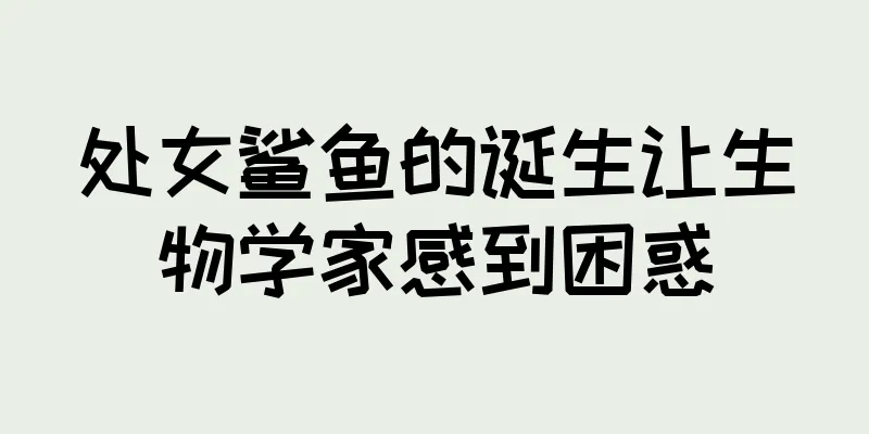 处女鲨鱼的诞生让生物学家感到困惑