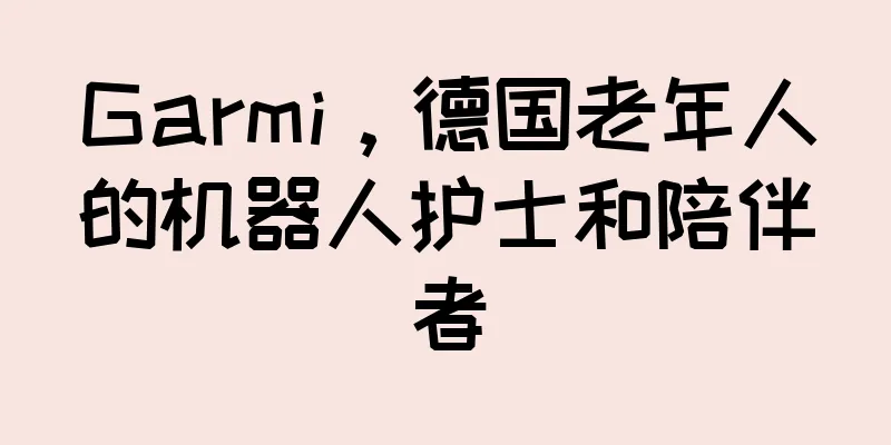 Garmi，德国老年人的机器人护士和陪伴者