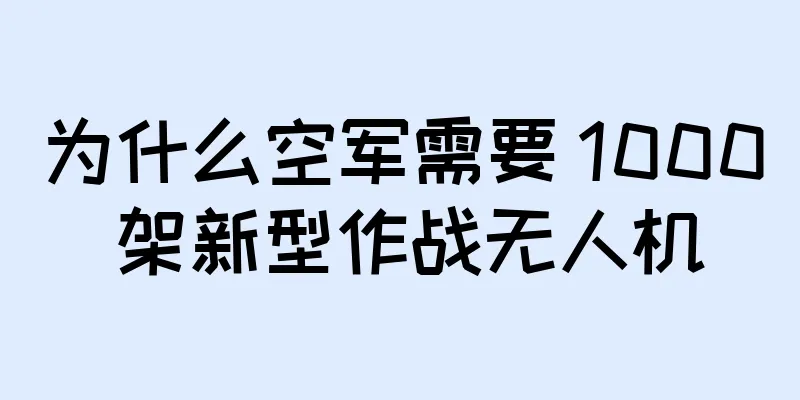 为什么空军需要 1000 架新型作战无人机