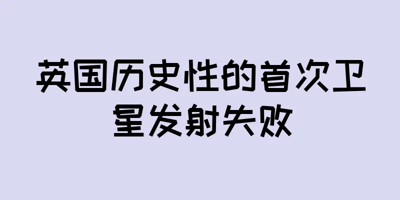 英国历史性的首次卫星发射失败