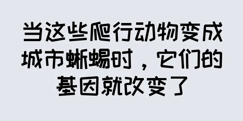 当这些爬行动物变成城市蜥蜴时，它们的基因就改变了