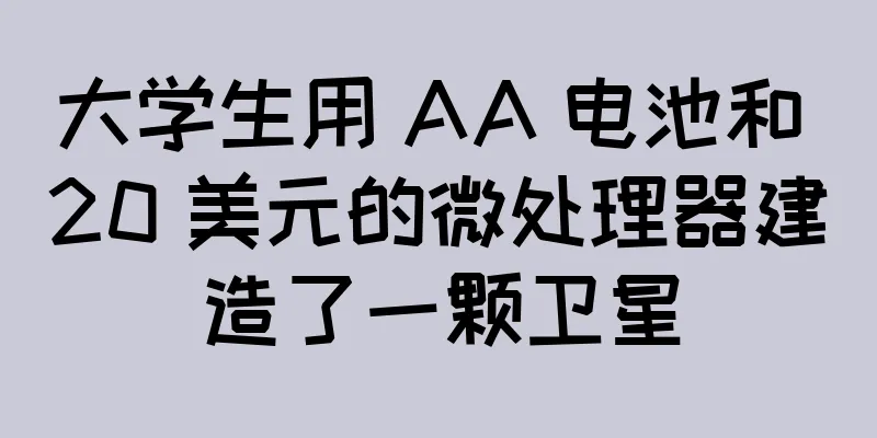 大学生用 AA 电池和 20 美元的微处理器建造了一颗卫星