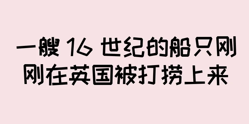 一艘 16 世纪的船只刚刚在英国被打捞上来