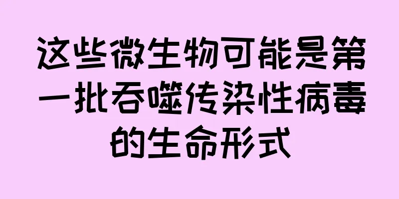 这些微生物可能是第一批吞噬传染性病毒的生命形式