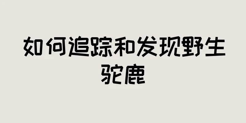 如何追踪和发现野生驼鹿