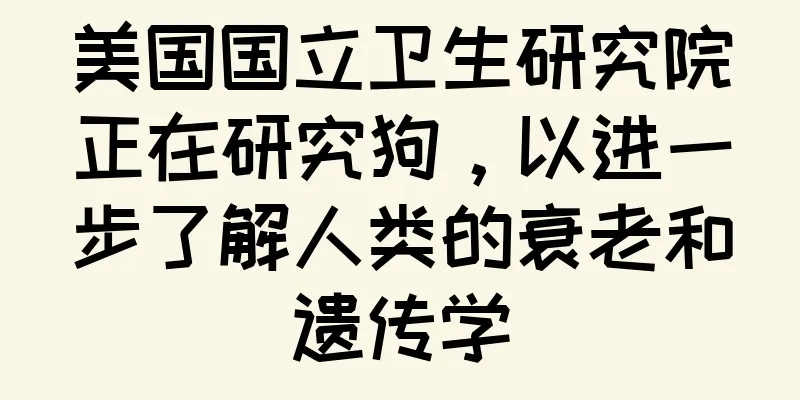 美国国立卫生研究院正在研究狗，以进一步了解人类的衰老和遗传学