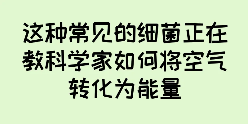 这种常见的细菌正在教科学家如何将空气转化为能量