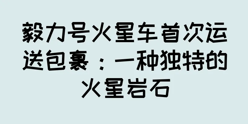 毅力号火星车首次运送包裹：一种独特的火星岩石