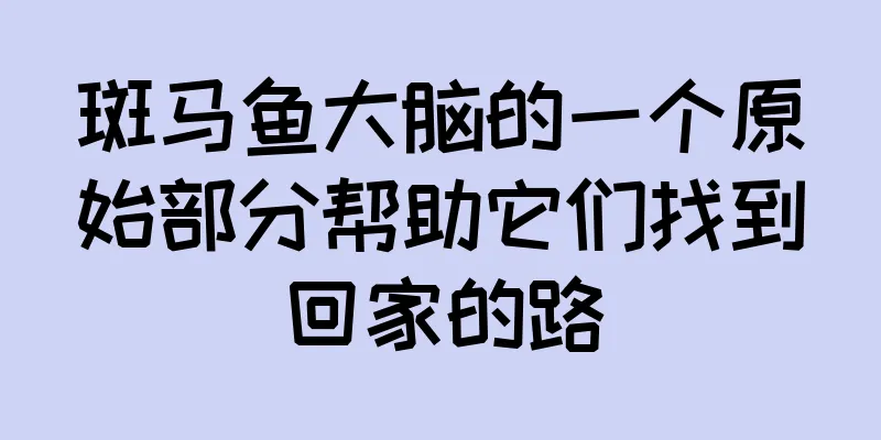 斑马鱼大脑的一个原始部分帮助它们找到回家的路